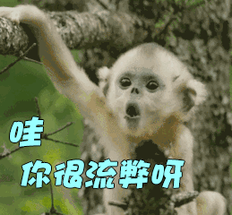 山东机器人编程：孩子几岁开始学习编程？孩子学习哪些内容？~济南机器人编程~机器人编程(图1)